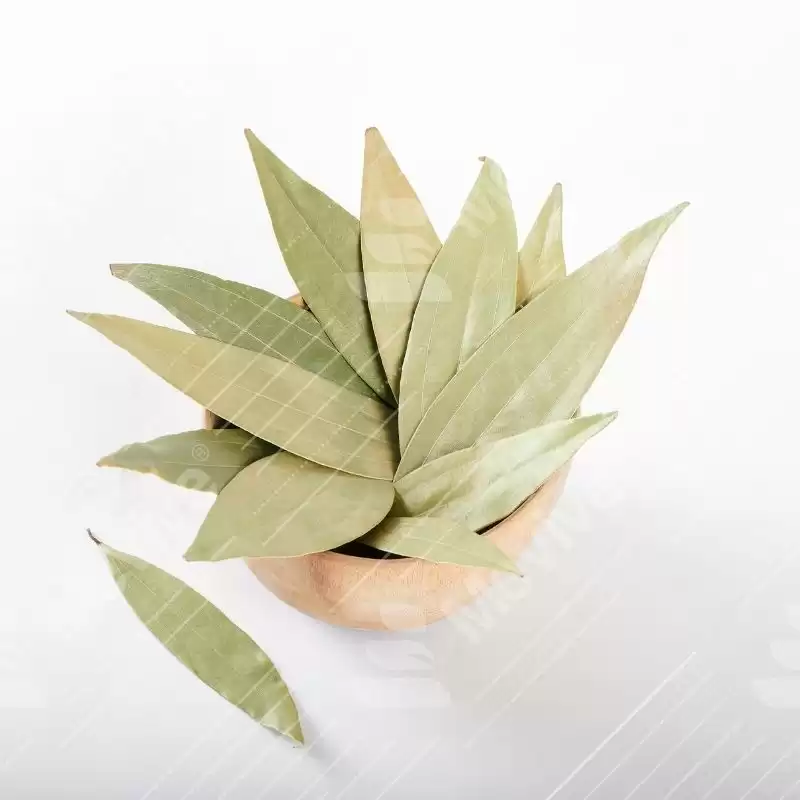 Bay Leaves Bulk Supplier in Tamil Nadu, India Enquire Now