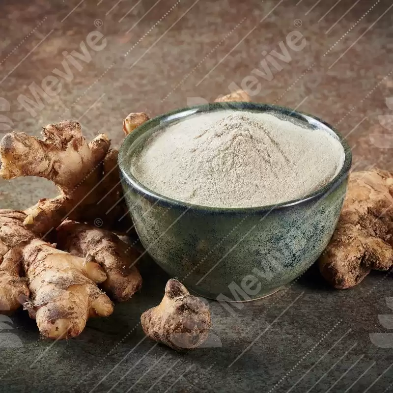 Spray Dried Ginger Powder Supplier Get Bulk Price Mevive