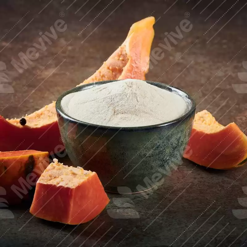 Spray Dried Papaya Fruit Powder Enquire Bulk Price