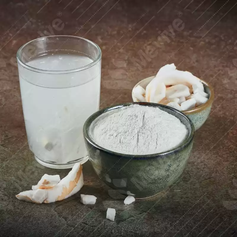 Spray Dried Tender Coconut Water Powder Bulk Supplier