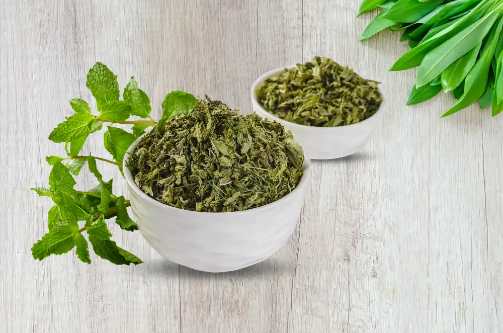 Dried Leaves & Herbs- Manufacturer, Supplier in India