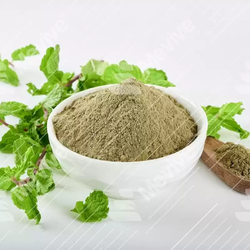 Bulk Dried Mint Leaves & Powder- Get Price Quote
